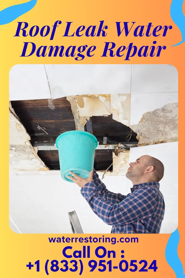 Roof Leak Water Damage Repair in New Orleans Station, LA